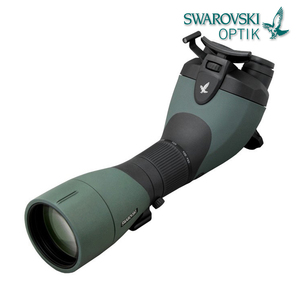 SWAROVSKI施华洛世奇BTX30x65 BTX30x85 BTX30x95双目头望远镜观鸟镜 观靶镜